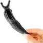 Sticky Slug