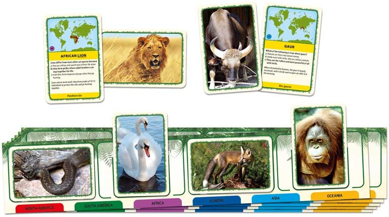 tactic-animals-of-the-world