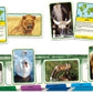 Tactic - Animals Of The World