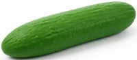 The Big Squij Cucumber