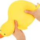 The Big Squij Duck