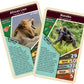 Top Trumps African Wildlife