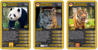 Top Trumps Awesome Animals