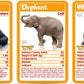Top Trumps Baby Animals