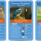 Top Trumps Birds