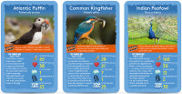 Top Trumps Birds