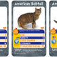 Top Trumps Cats - Who Is The Most Mischievous