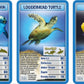 Top Trumps Creatures Of The Deep