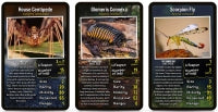 Top Trumps Creepy Crawlies
