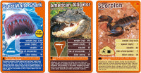 Top Trumps Predators