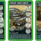 Top Trumps Snakes