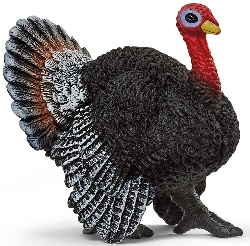 Schleich Turkey