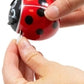 Wind Up Ladybird