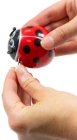 Wind Up Ladybird