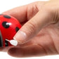 Wind Up Ladybird