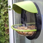 Window-mounted Bird Feeder