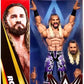Wwe Seth Rollins
