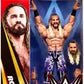 Wwe Seth Rollins
