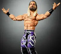 Wwe Seth Rollins