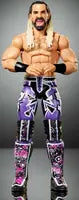 Wwe Seth Rollins