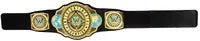 Wwe Intercontinental Championship Role Play Title